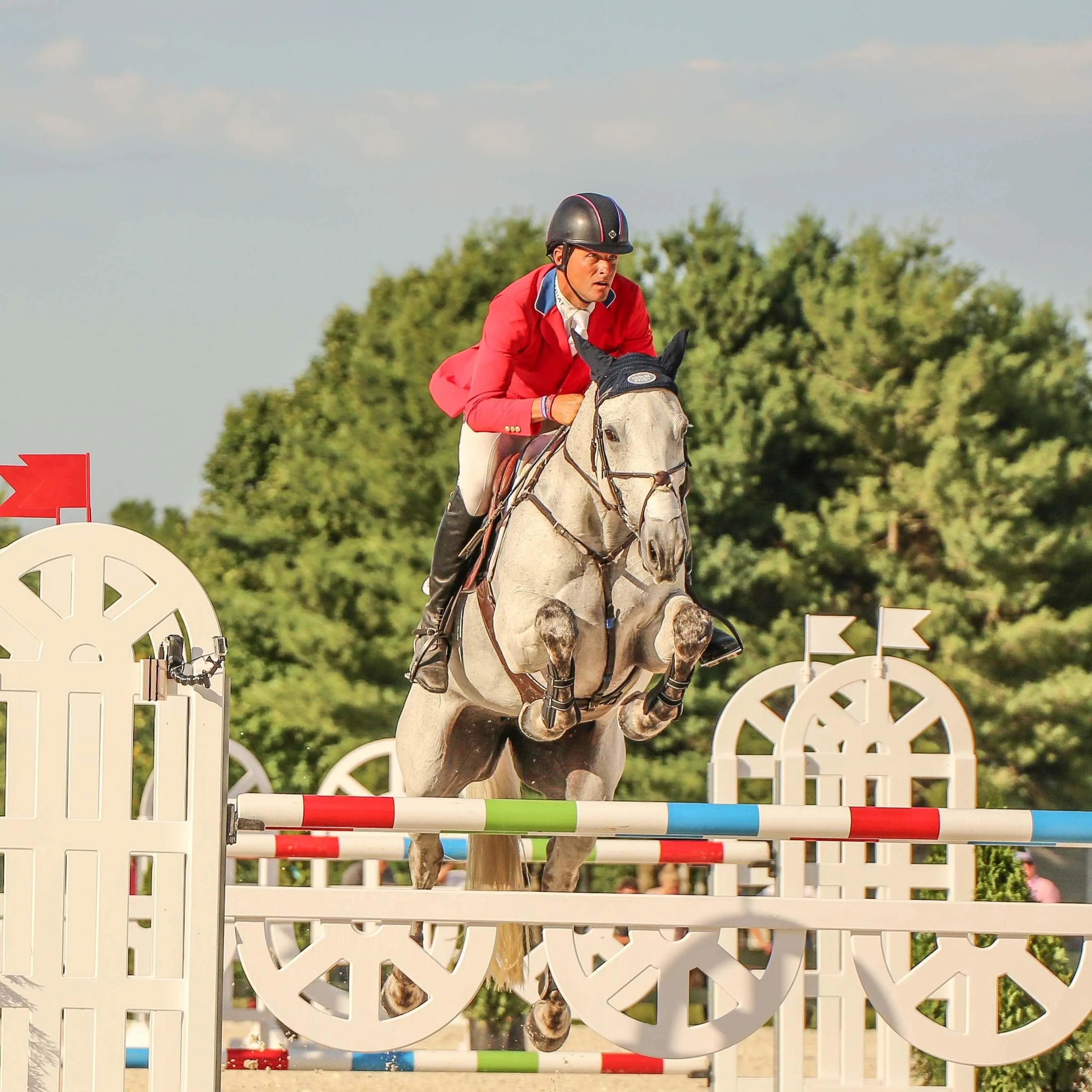 Boyd Martin Stadium Hind Jump Boot with ARTi-LAGE Technology